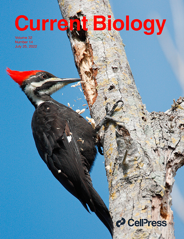 Cover image showing a pileated woodpecker pecking on a tree